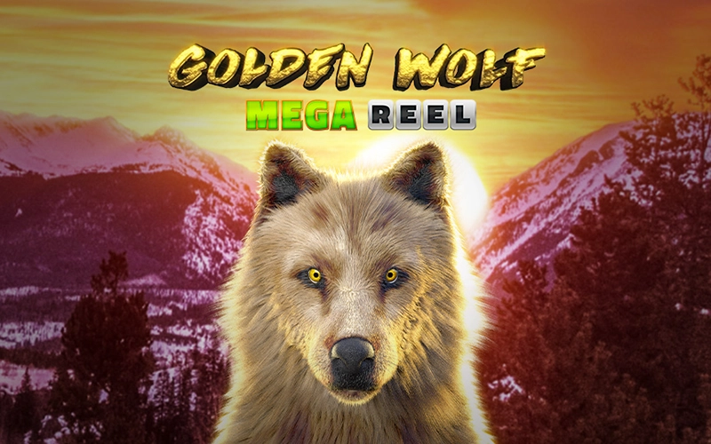 Try your hand at the Golden Wolf game from Grand Rush.